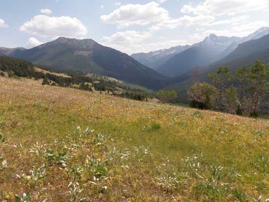 Vancouver hiking trails South Chilcotin wildflowers