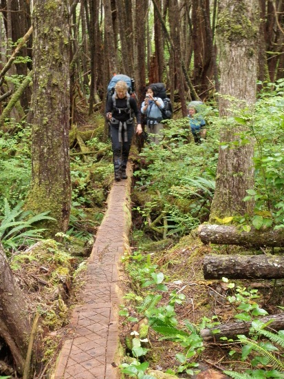 hiking Vancouver Island North Coast Trail log bridge