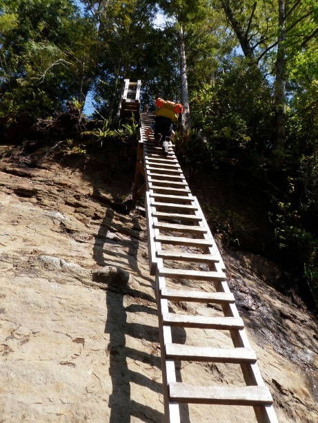 Ladder at Logan Creek-gone now Vancouver Island Hiking